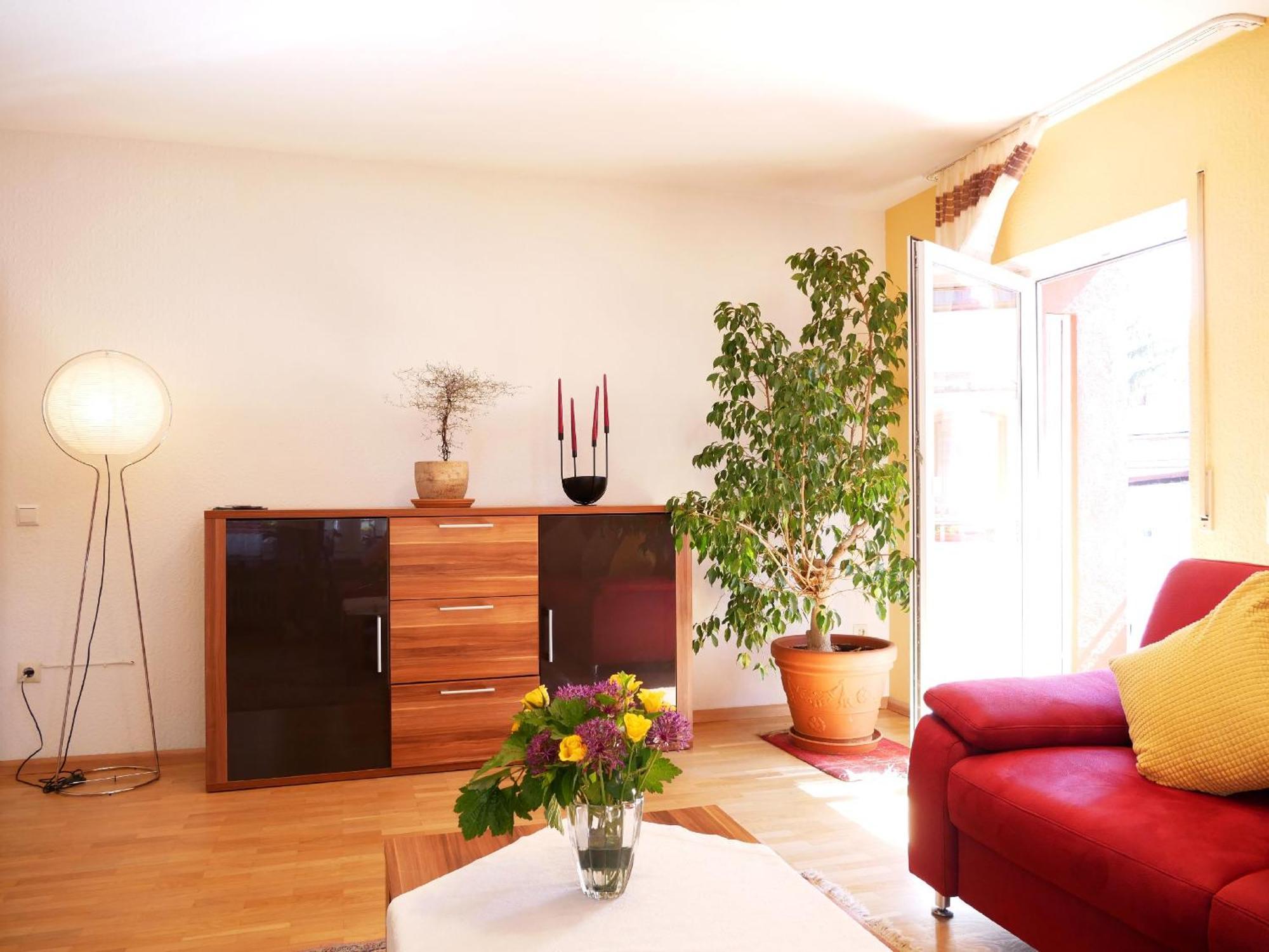 Appartement Walter Ringsheim